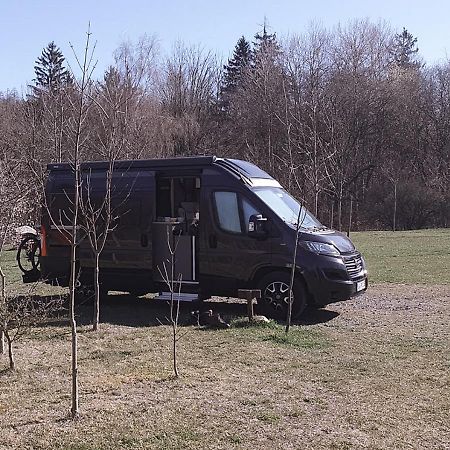 Destinature Dorf Suedeifel Ernzen Экстерьер фото
